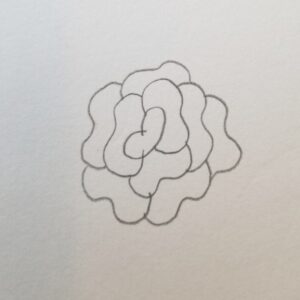 Pencil sketch of a blooming carnation with layered, wavy-edged petals forming a full flower shape — intermediate step in drawing a carnation for Bible journaling