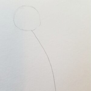 Pencil sketch of the first step in drawing a tulip for Bible journaling, showing a simple circle and curved stem outline on white paper